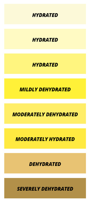 Proper Hydration Chart