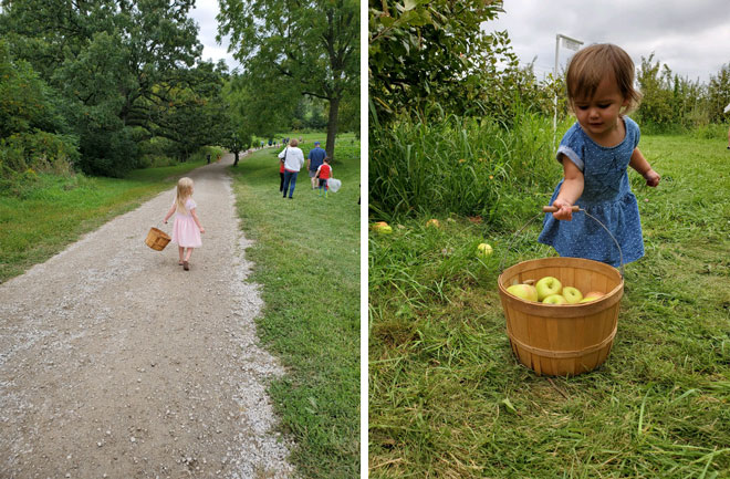 Ashley Pearson's Family Trip to Wilson's Apple Orchard