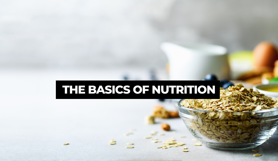 basics-of-nutrition