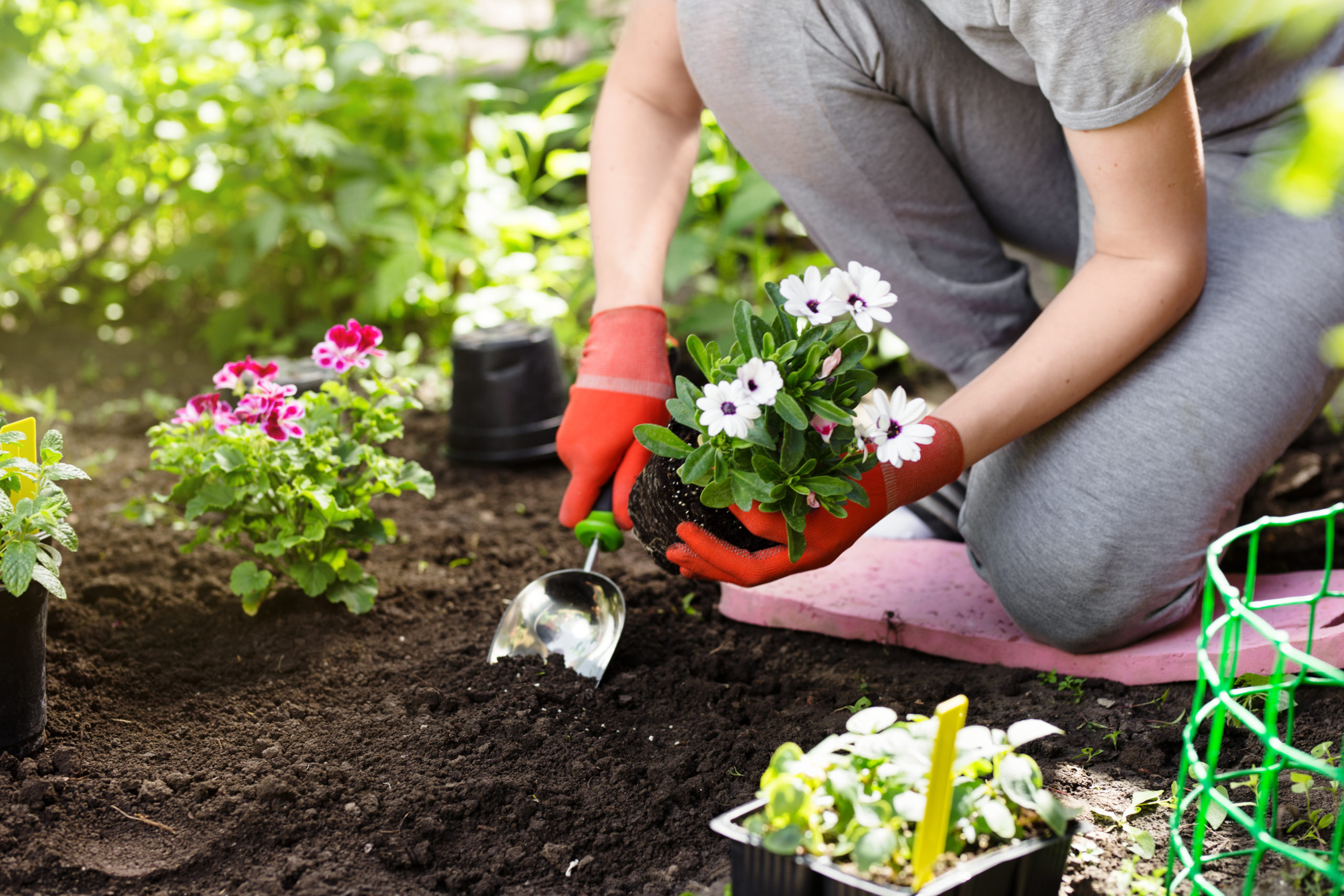 Learn how strength training can help during this gardening season